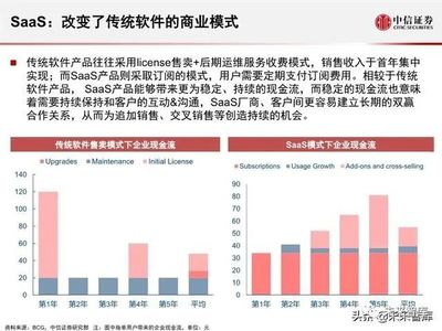 2020全球软件SaaS云计算产业展望 软件外包服务的转型与机遇